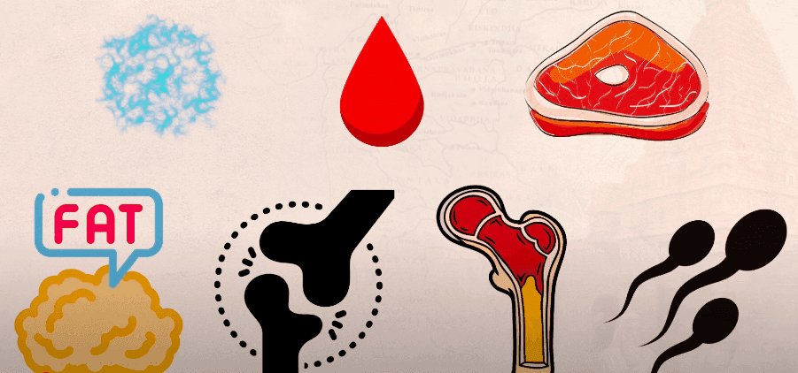 Illustration from Medicine, Daily Practices, and Holistic Wellness