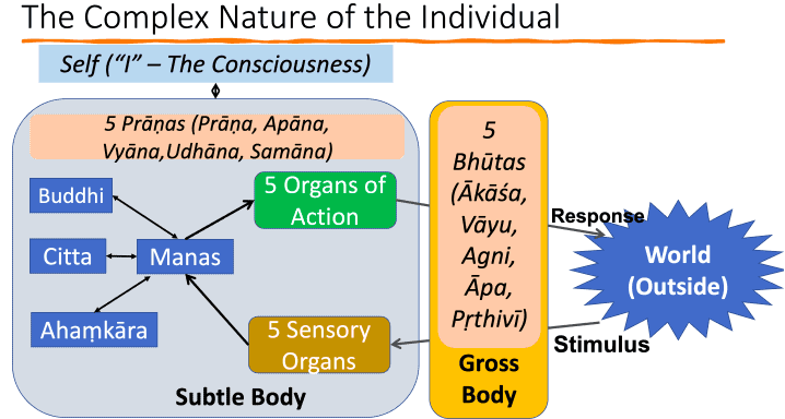 Illustration from Medicine, Daily Practices, and Holistic Wellness