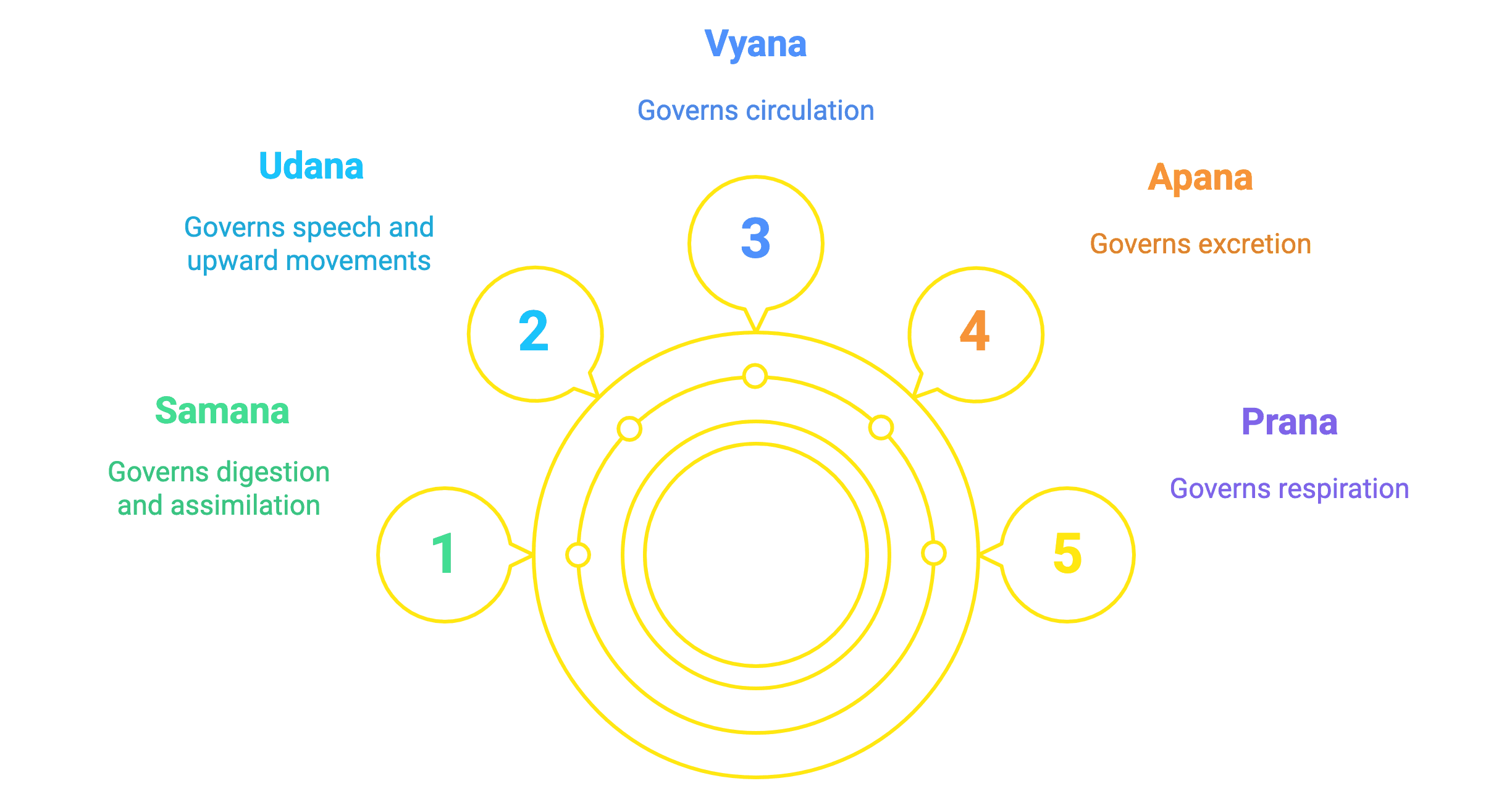 Illustration from Medicine, Daily Practices, and Holistic Wellness