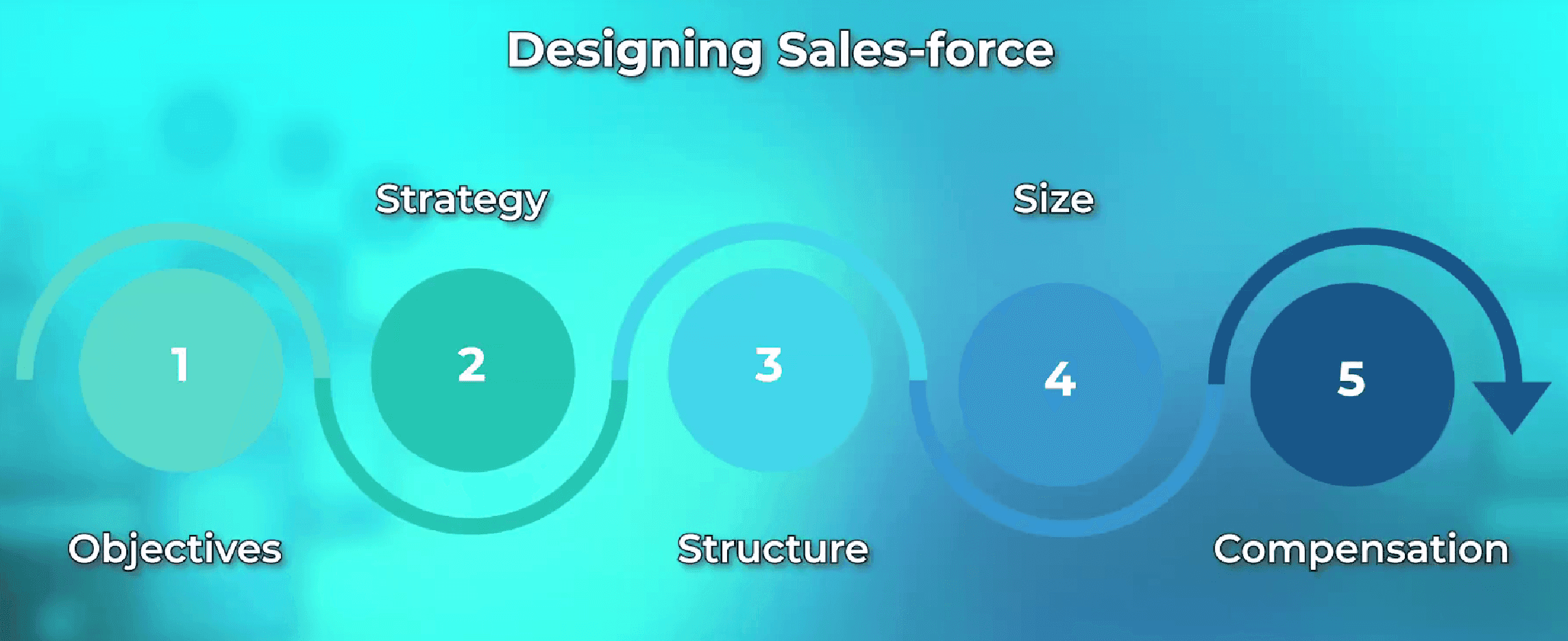 The five steps in designing an effective sales force