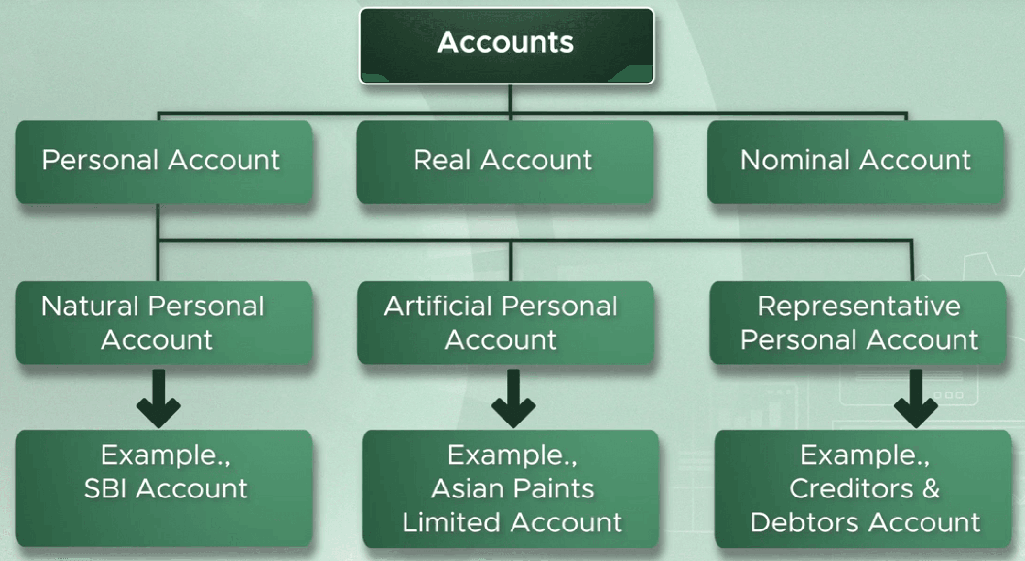 Personal accounts split into natural, artificial and representative personal accounts
